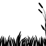 bulrushes-1920x1418.png